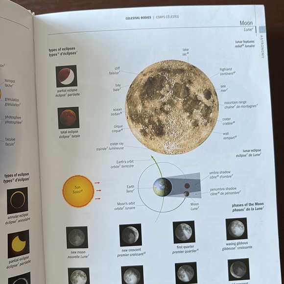 The Firefly French/English visual dictionary - Picture 3 of 4